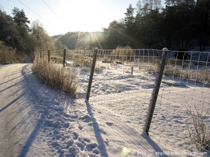 Sun on the snowy path