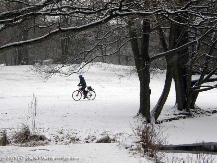 Bicyclist in the park