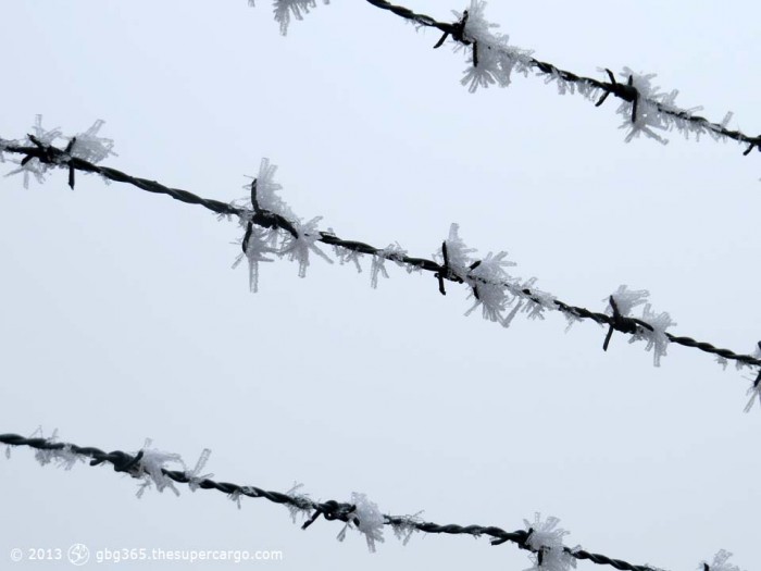 Barbed frost