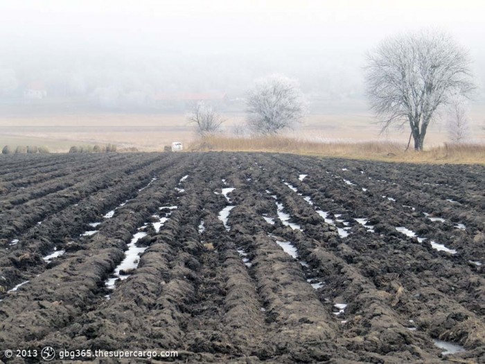 Frosted fields