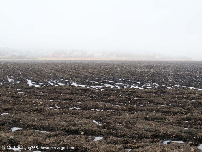 Frosted fields also