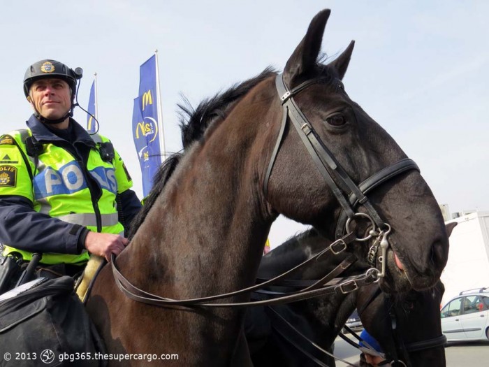 Policeman and horse