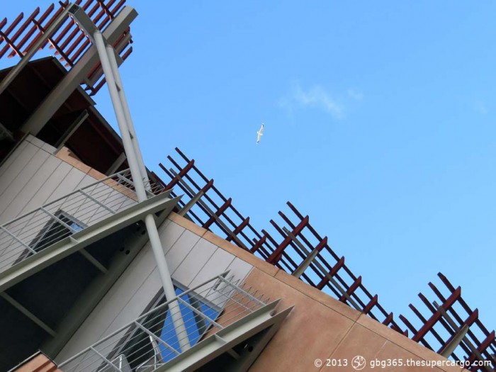 Seagull over opera house