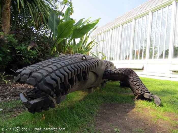 The crocodile by the palm house