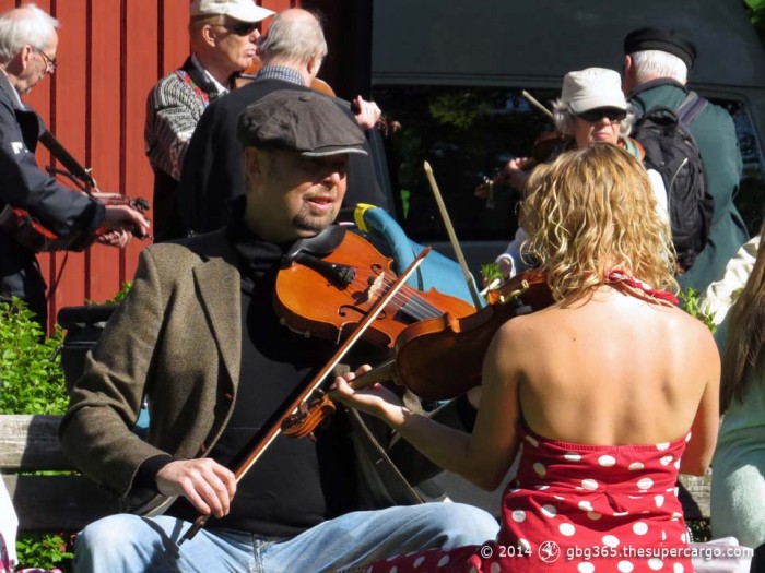 Folk violin meeting